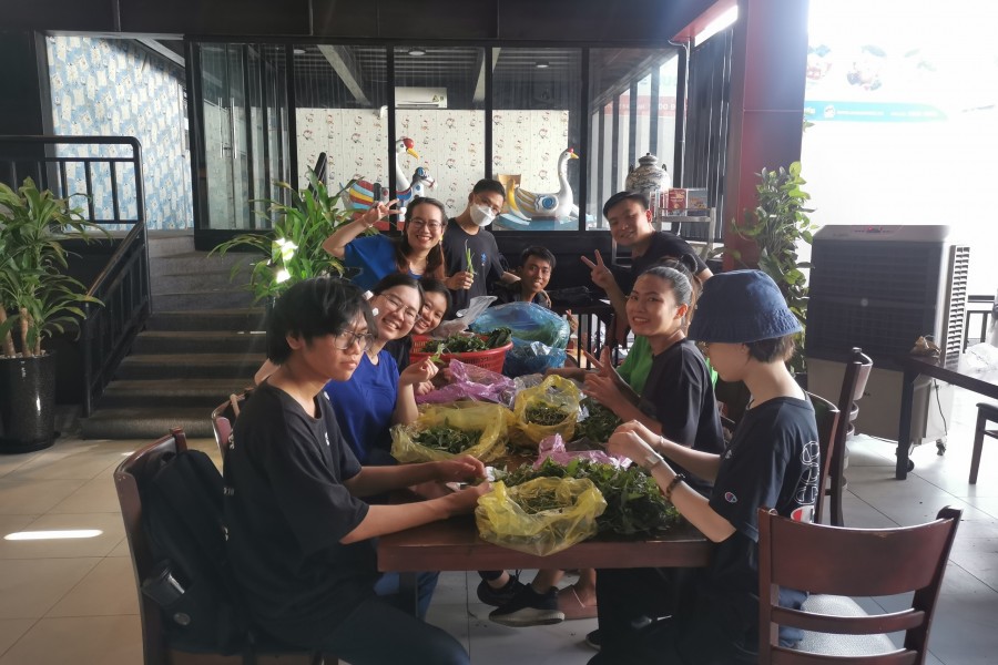 DTC Vietnam Volunteered at Foodbank Viet
